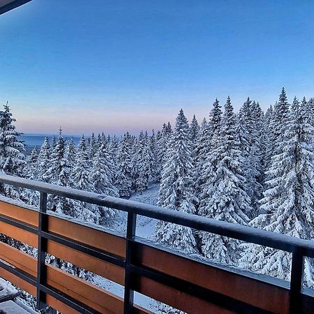 Hotel Petrovy Kameny Karlova Studanka Luaran gambar